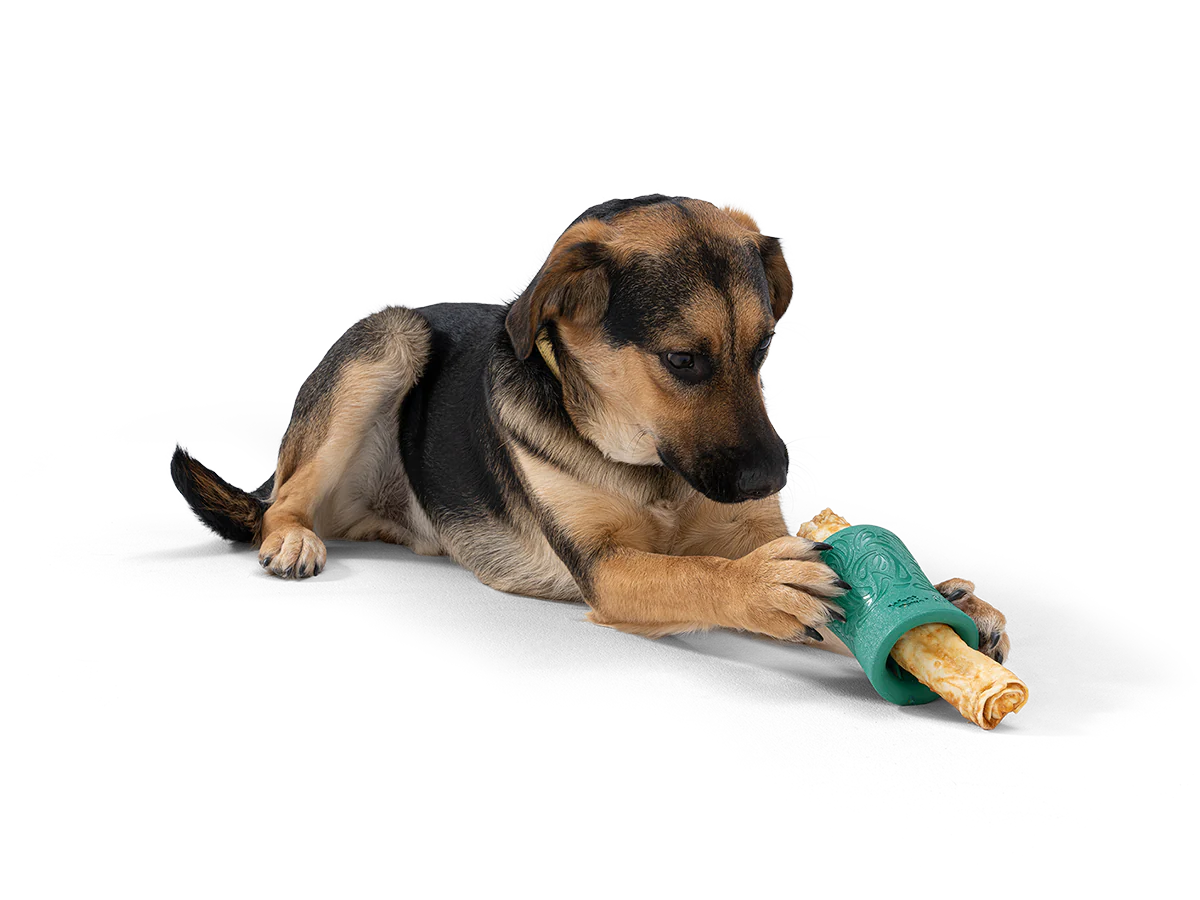 Latex fast food design dog toy