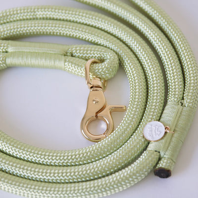Furlou Lime Green Braided Rope, Dog Leash