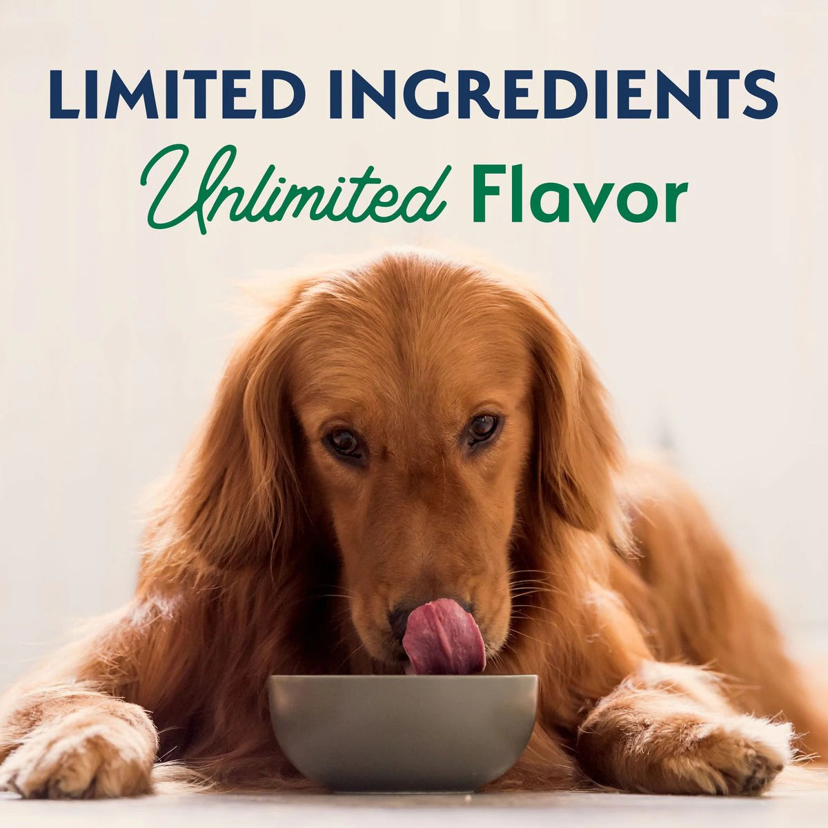 Natural Balance® Limited Ingredient Diets® Lamb & Brown Rice Adult Formula, Dry Dog Food