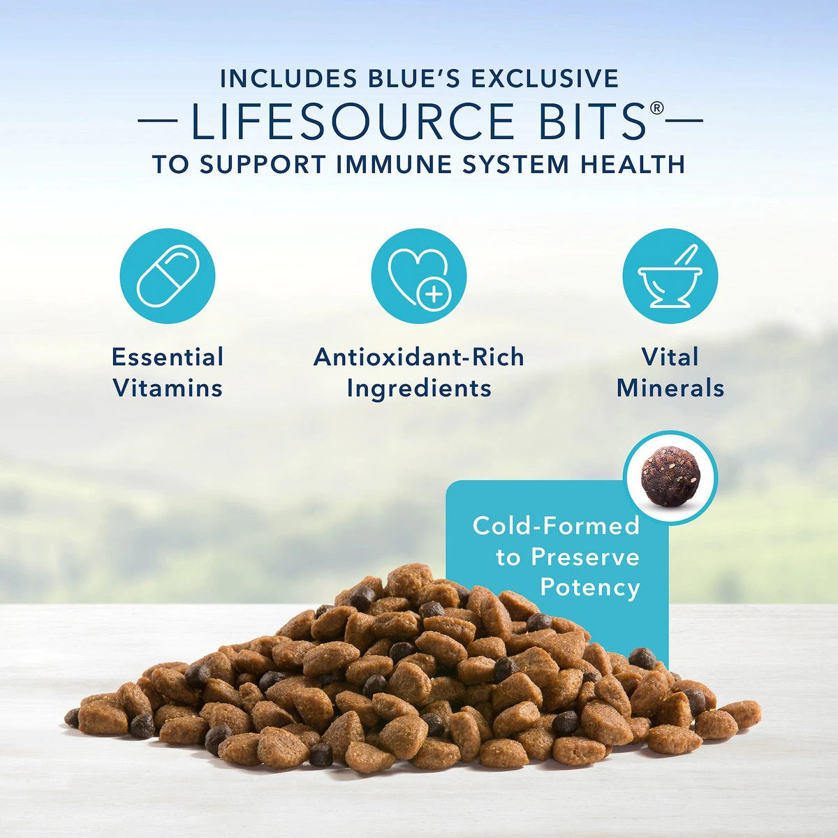 Blue Buffalo Life Protection Formula Natural Healthy Weight Chicken And Brown Rice Recipe, Dry Dog Food