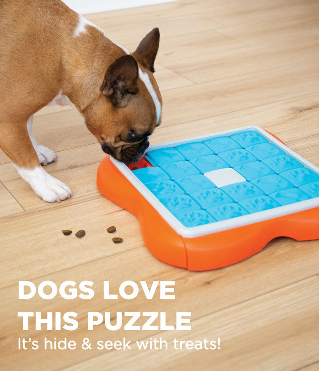 Dog Activity Slide & Feed Puzzle for dogs and cats - For dogs