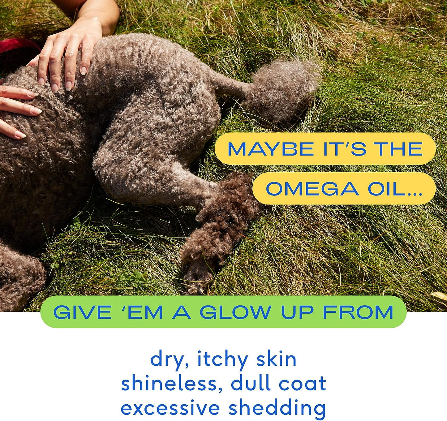 Native Pet Omega Oil, Dog Supplement