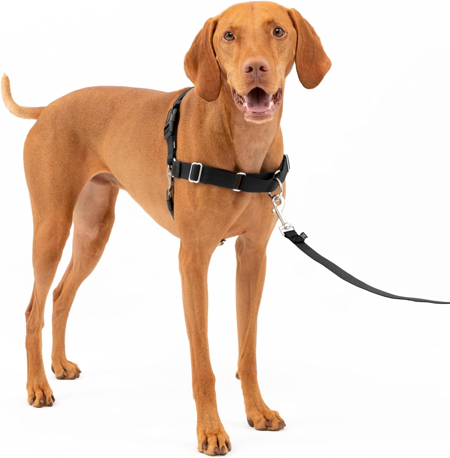 PetSafe Easy Walk Harness No Pull Dog Harness