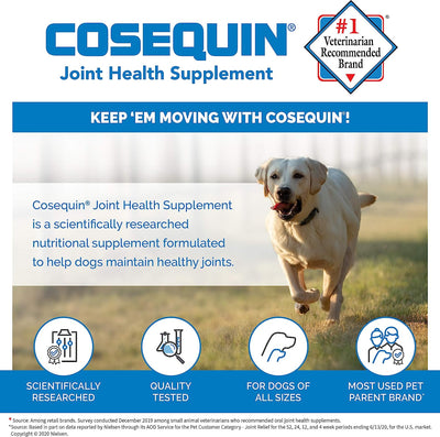 Cosequin® Maximum Strength Plus MSM Chewable Tablets 60-Count, Dog Supplement