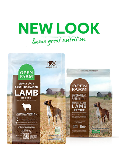 Open Farm Pasture-Raised Lamb Grain-Free, Dry Dog Food