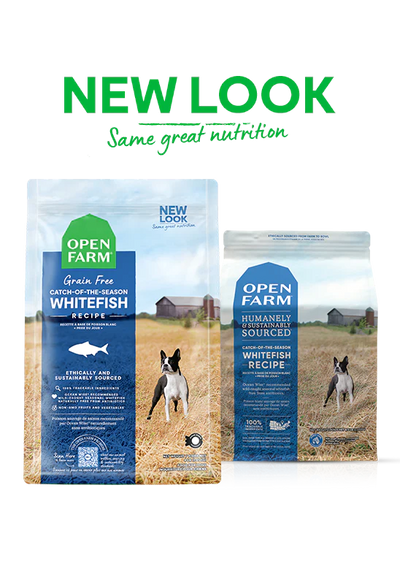 Open Farm Catch-of-the-Season Whitefish Grain-Free, Dry Dog Food