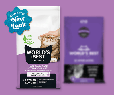 World's Best Cat Litter Multiple Cat Lavender Scented, Cat Litter