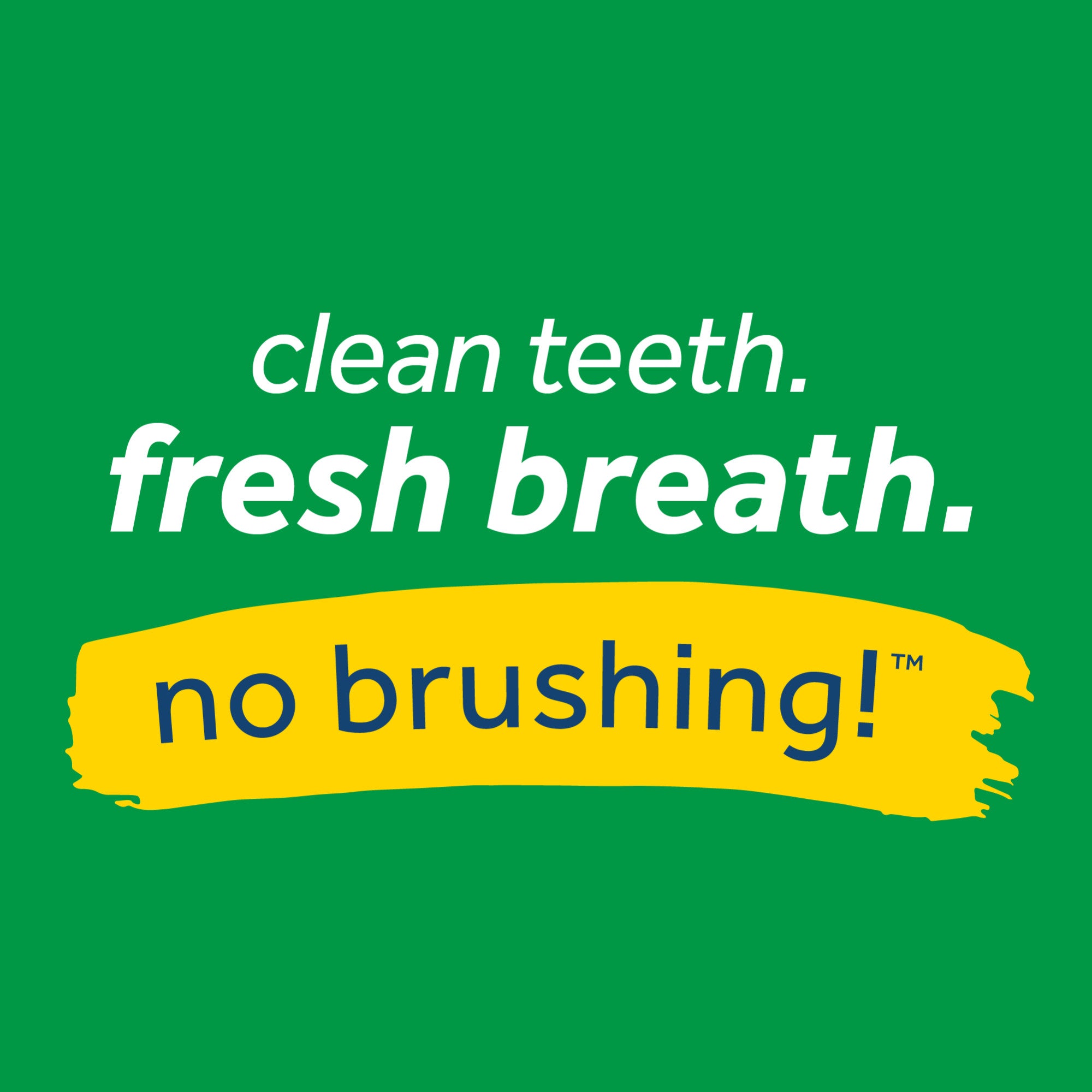 Fresh breath best sale oral care foam