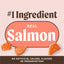 Merrick Power Bites Real Salmon Recipe 6-oz, Dog Treat