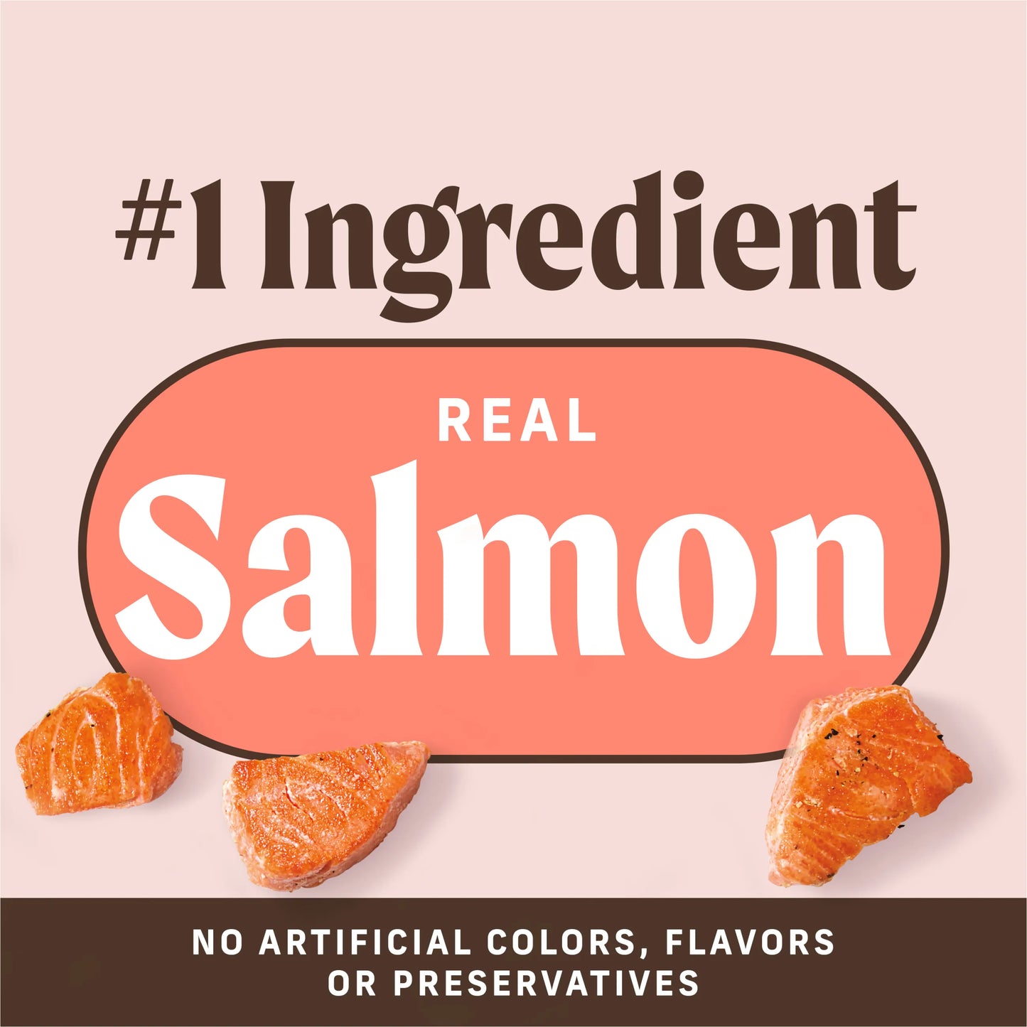 Merrick Power Bites Real Salmon Recipe 6-oz, Dog Treat