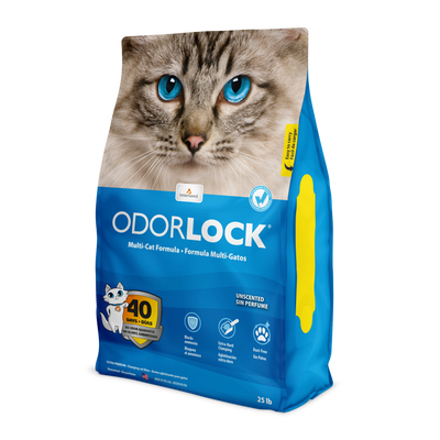 Intersand OdorLock® Unscented Ultra Premium Clay 25-lb, Cat Litter