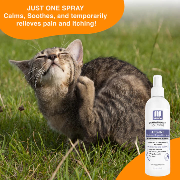 Nootie Anti-Itch Medicated 8-oz, Pet Spray