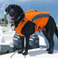 BayDog Monterey Bay Life Jacket For Dogs