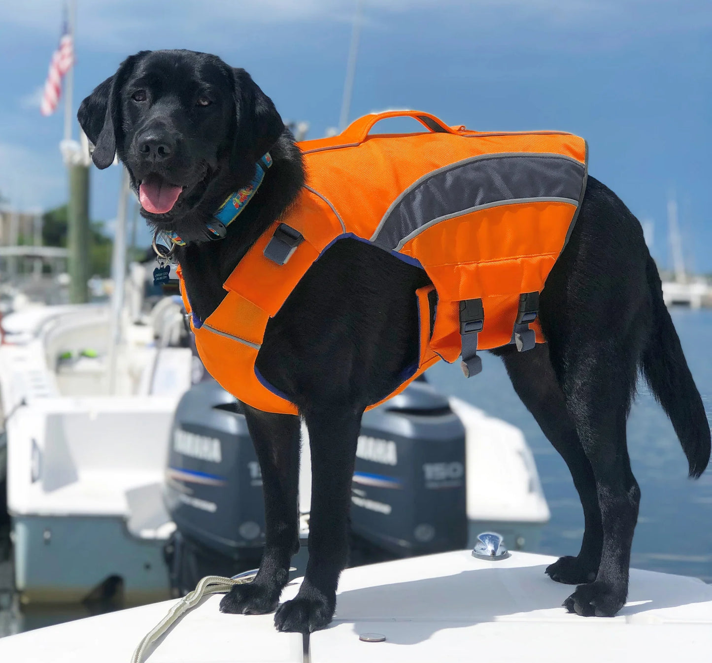BayDog Monterey Bay Life Jacket For Dogs