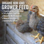 Scratch & Peck Organic Grower Mash 10-lb, Poultry Feed