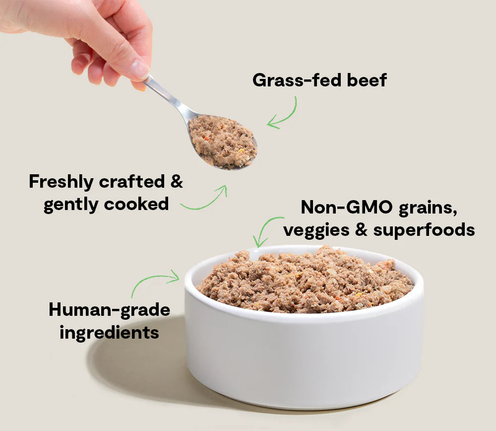 Open Farm Goodbowl Harvest Beef Recipe, Frozen Gently Cooked Dog Food