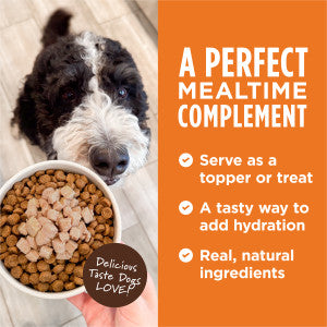 Instinct Healthy Cravings Real Salmon Recipe 3-oz, Dog Food Topper
