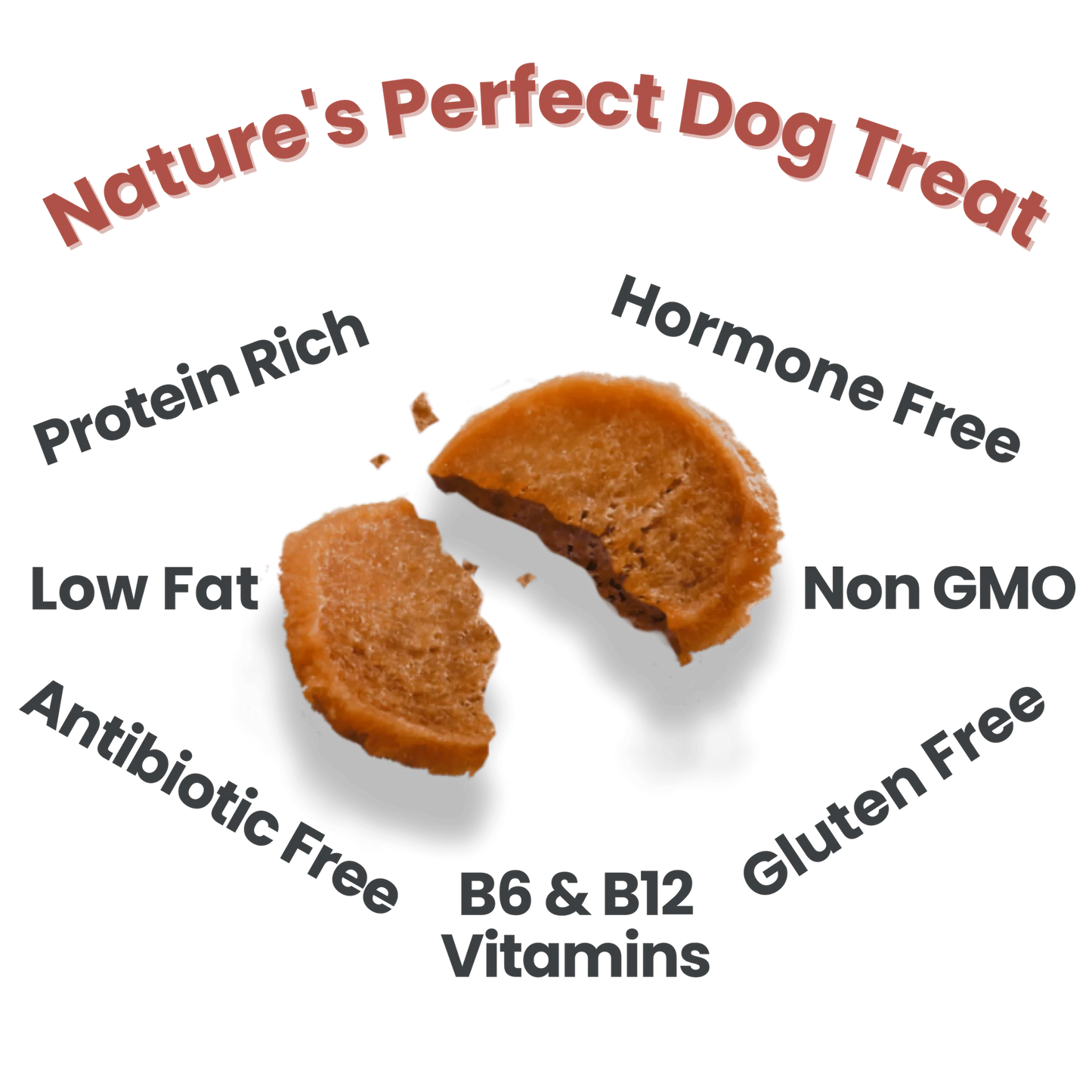 Farm To Pet Single Ingredient Turkey Chips Snack Size, Dog Treat