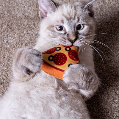 Mulipet Cat Pizza, Cat Toy