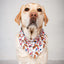 Dog Bandana Co. American Summer Dog Bandana Tie & Snap