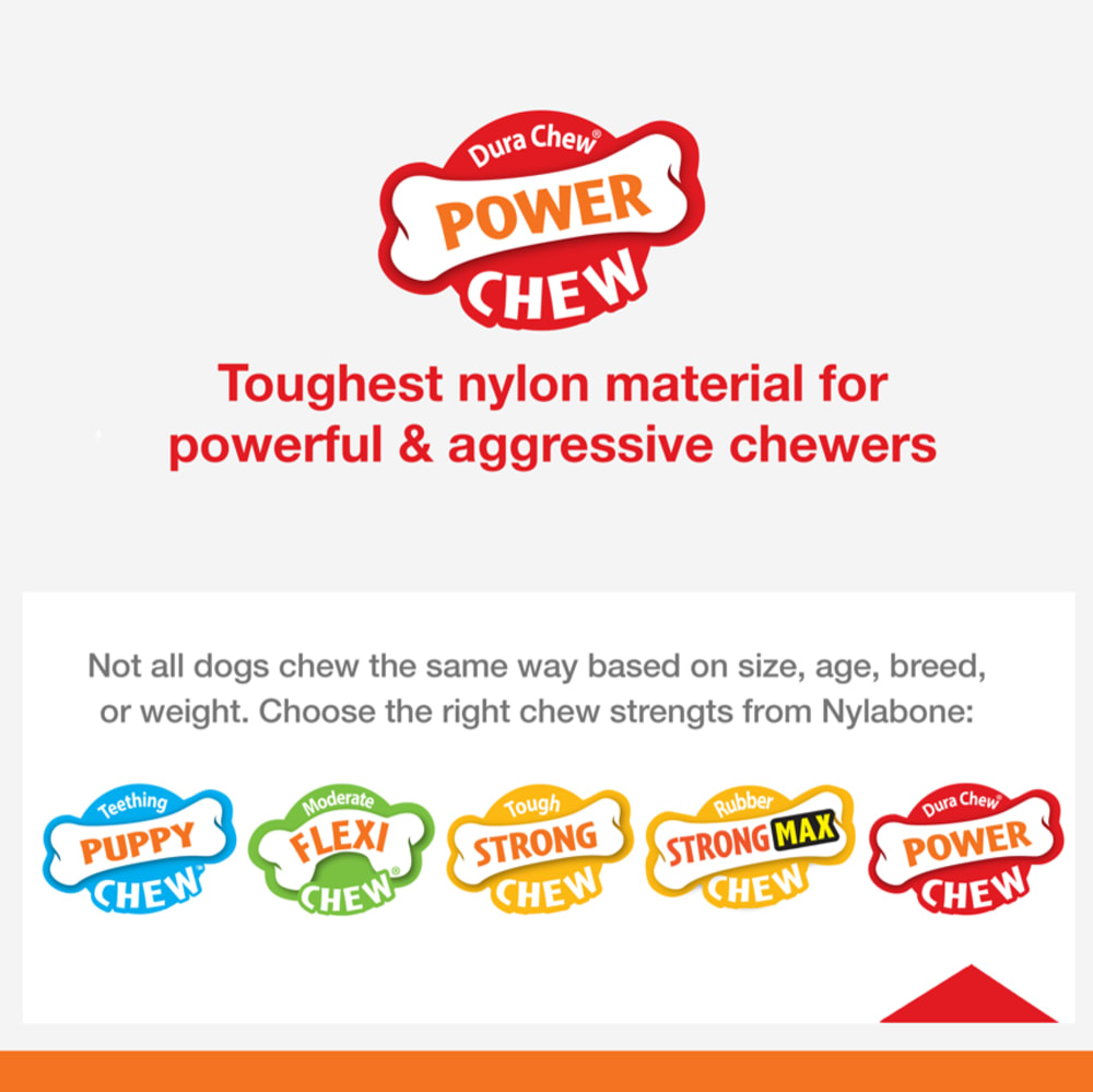 Nylabone Large/Giant Power Chew Ring, Dog Toy