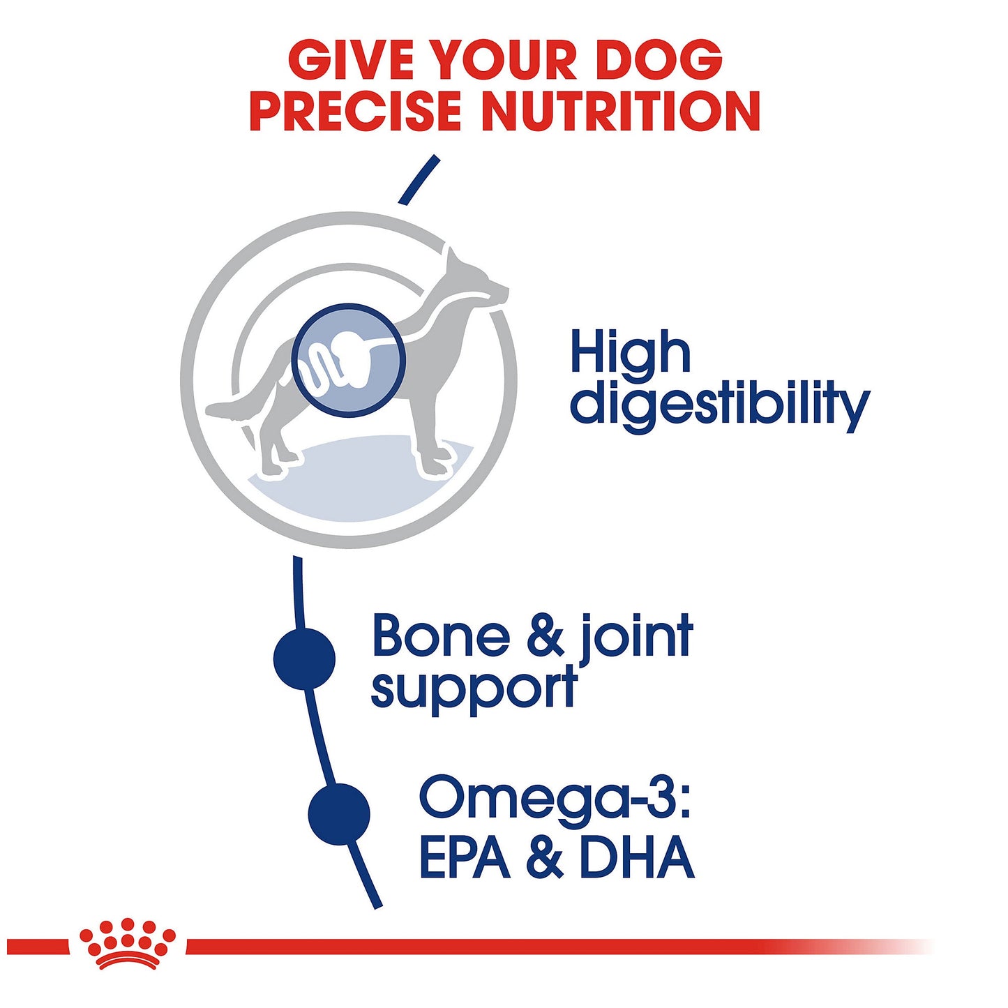 Royal Canin Large Breed Adult Dry Dog Food, 30-lb Bag