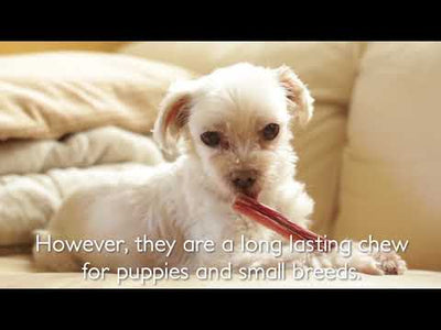Tuesday's Natural Dog Company 12-inch Tremenda Tough Stick, Dog Chew