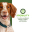 Fromm Nutritionals Mobility Supplement Pate, Wet Dog Food, 13-oz Case of 12