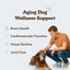 Natural Dog Company Senior Support Chew, Dog Supplement, 90-count, 9.5-oz