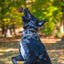 HuggleHounds Huggle-Hide Natural Leather Ball, Dog Toy