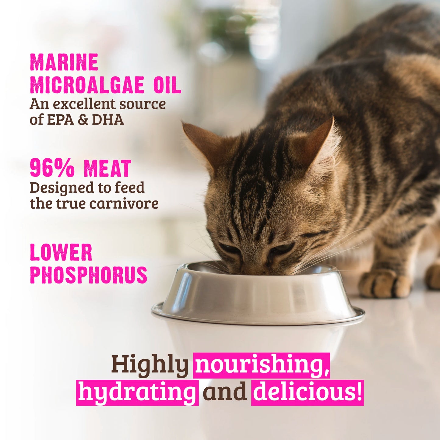 RAWZ® Lower Phosphorus Turkey, Wet Cat Food, 5,5-oz Case of 24