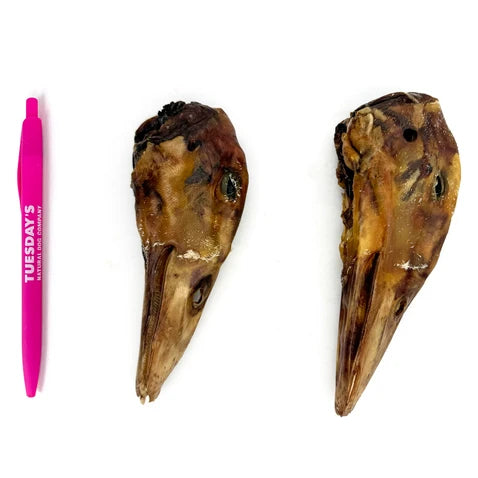 Tuesday's Natural Dog Company, Duck Head, Single Dog Chew