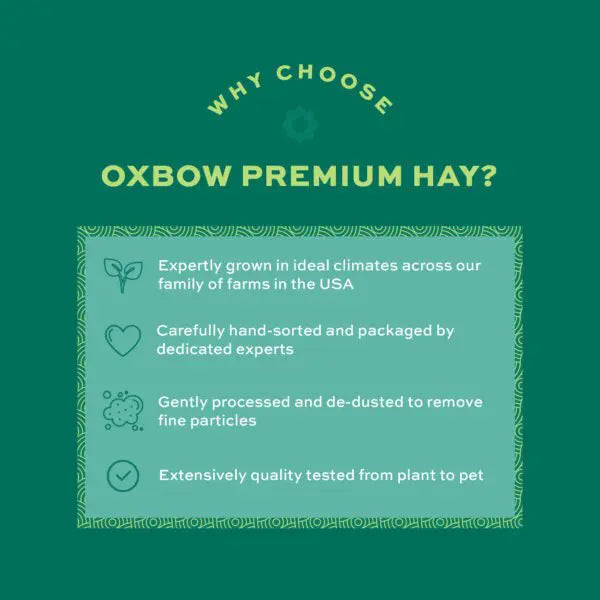 Oxbow Animal Health Foraging Blend Western Timothy & Teff Hay, Small Animal Treats, 40-oz Bag