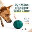 Woof Forager Walkabout, Dog Toy