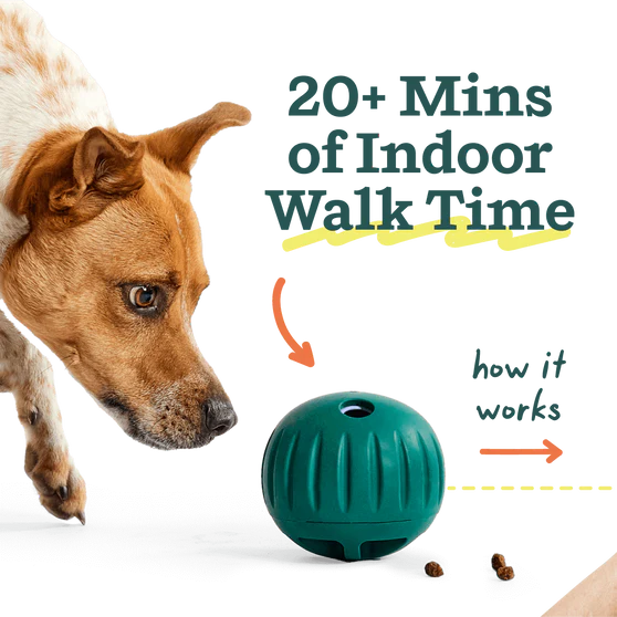 Woof Forager Walkabout, Dog Toy