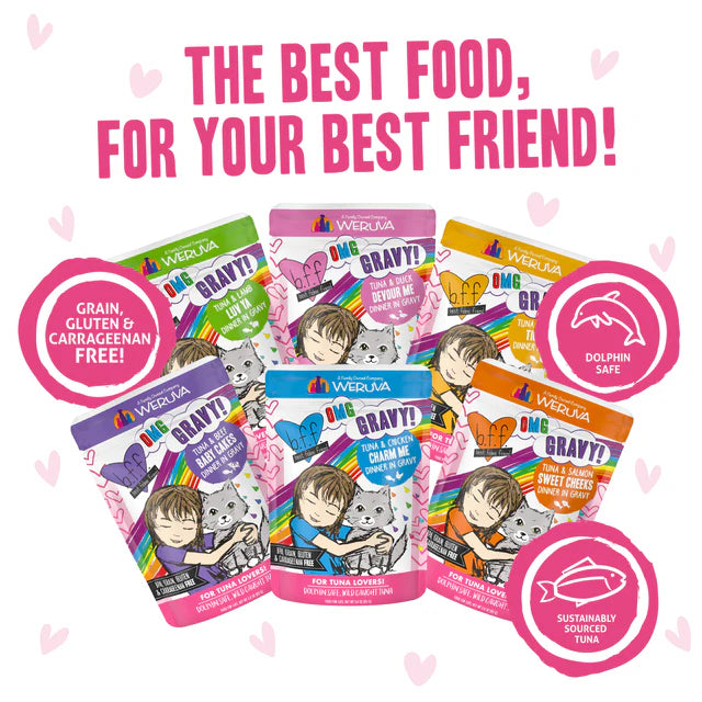 Weruva BFF OMG Gravy! Rainbow Á Gogo Variety Pack, 2.8-oz Pouch, Case of 12, Wet Cat Food