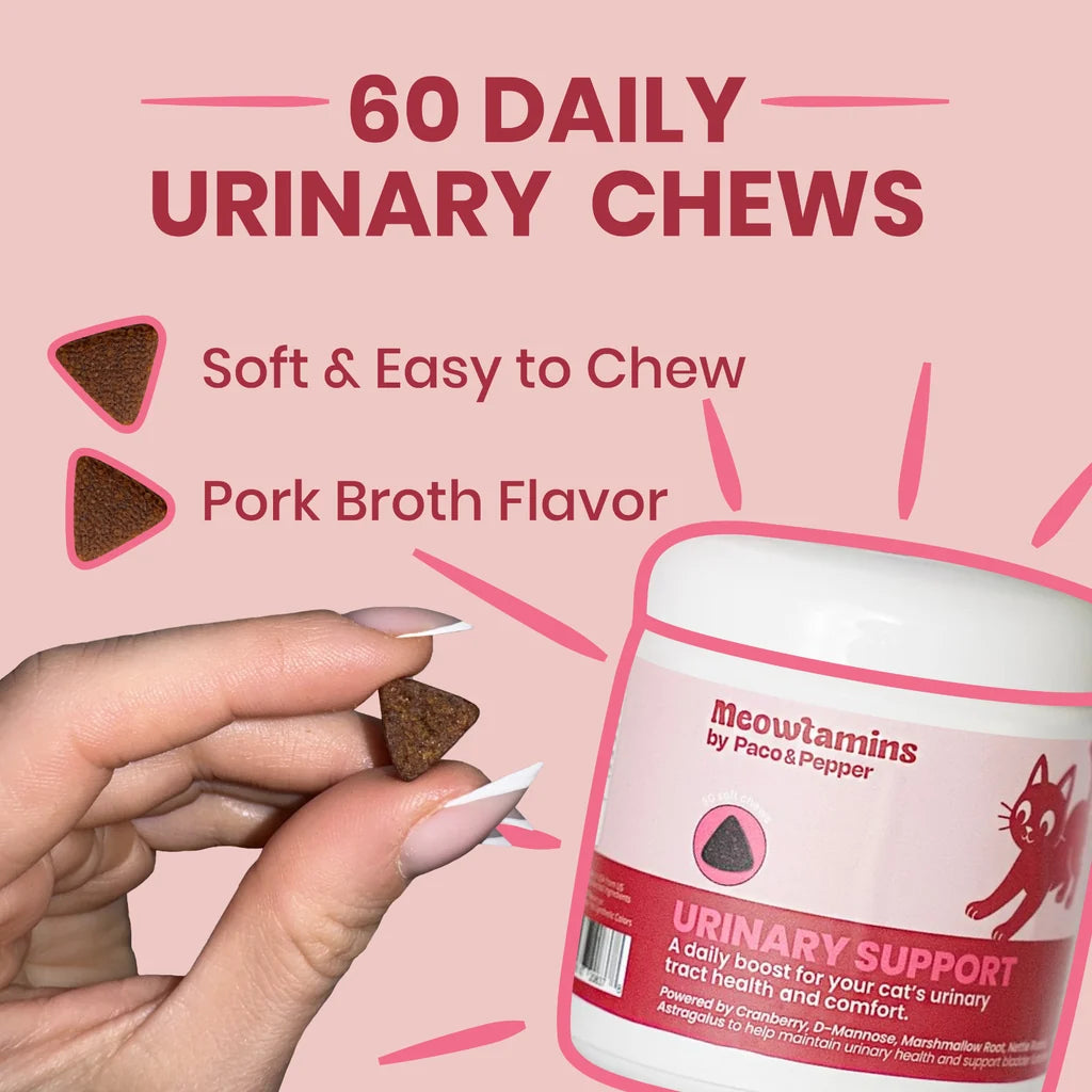 Paco & Pepper Meowtamins Urinary Formula, 60-count