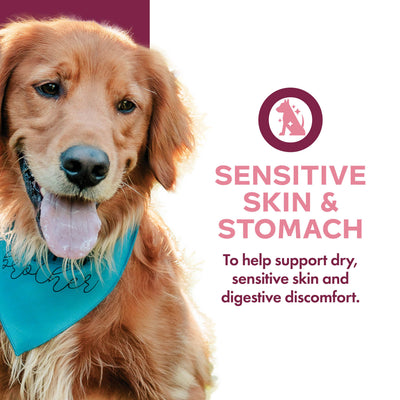 Fromm Nutritionals Sensitive Skin & Stomach Pate, Wet Dog Food, 13-oz Case of 12