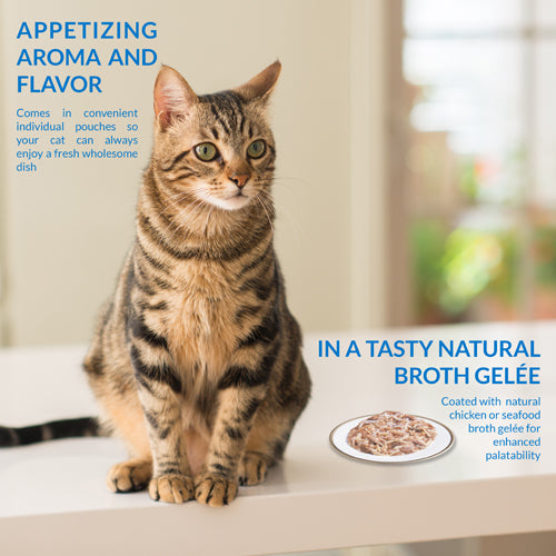 Inaba Twin Packs Tuna & Chicken Recipe in Tuna Broth, Wet Cat Food, 2.08-oz Case of 6