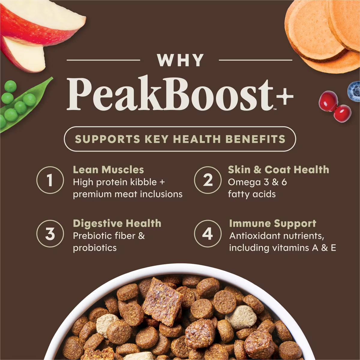 Instinct PeakBoost Grain-Free High-Protein Recipe with Real Salmon, Dry Dog Food