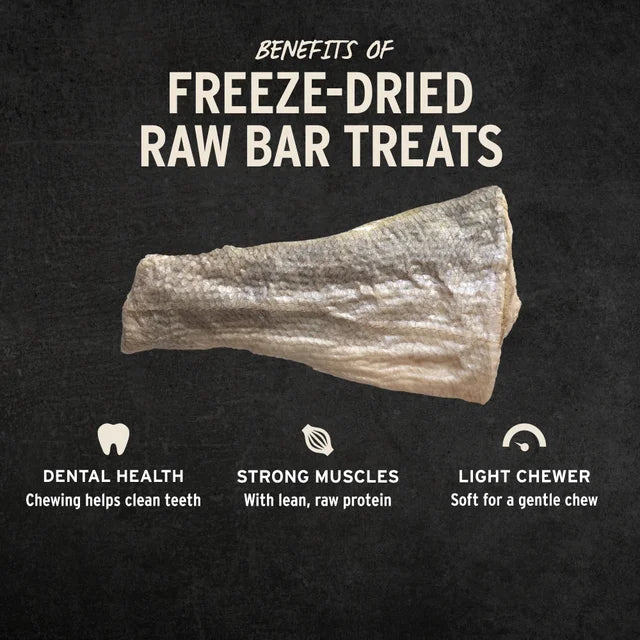 Vital Essentials Freeze-Dried Raw Bar Silver Carp Filet, Dog Chews