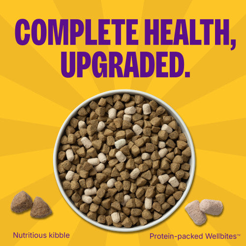 Wellness Complete Health+ Chicken & Oatmeal Recipe, Dry Dog Food