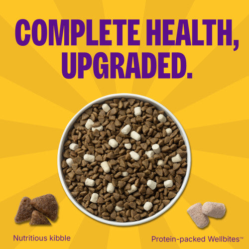 Wellness Complete Health+ Small Breed Deboned Turkey & Oatmeal Recipe, Dry Dog Food