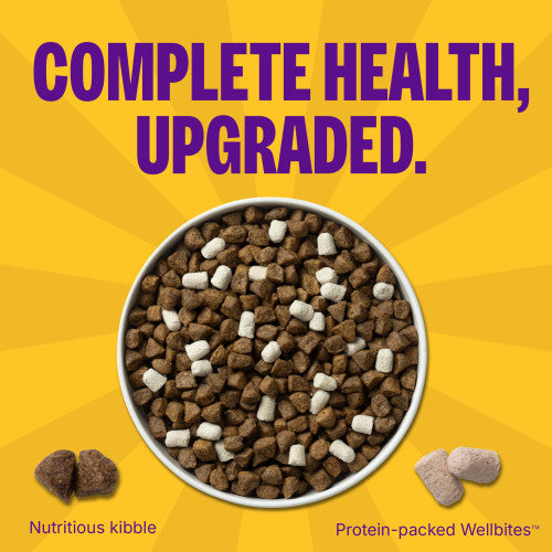 Wellness Complete Health+ Whitefish & Sweet Potato Recipe, Dry Dog Food