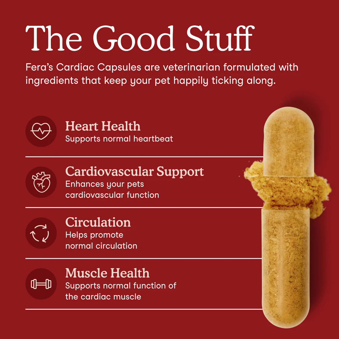 Fera Pets Cardiac Support For Dogs and Cats, Pet Supplement, 60-Count