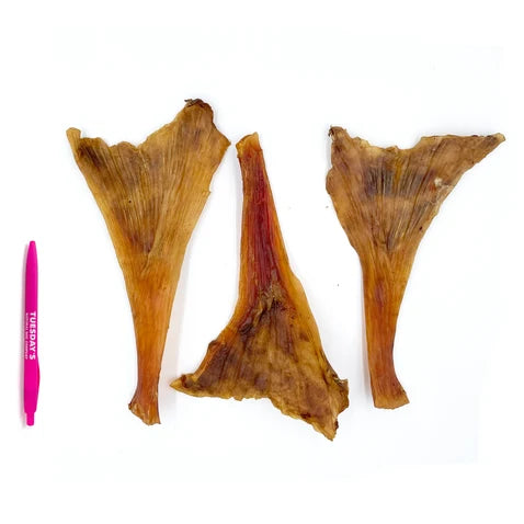 Tuesday's Natural Dog Company, Ostrich Long Tendons, Dog Treat, 4-oz Bag