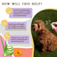 Natural Dog Company Itchy Dog Spritz, Deodorizing Spray, 8-oz Bottle