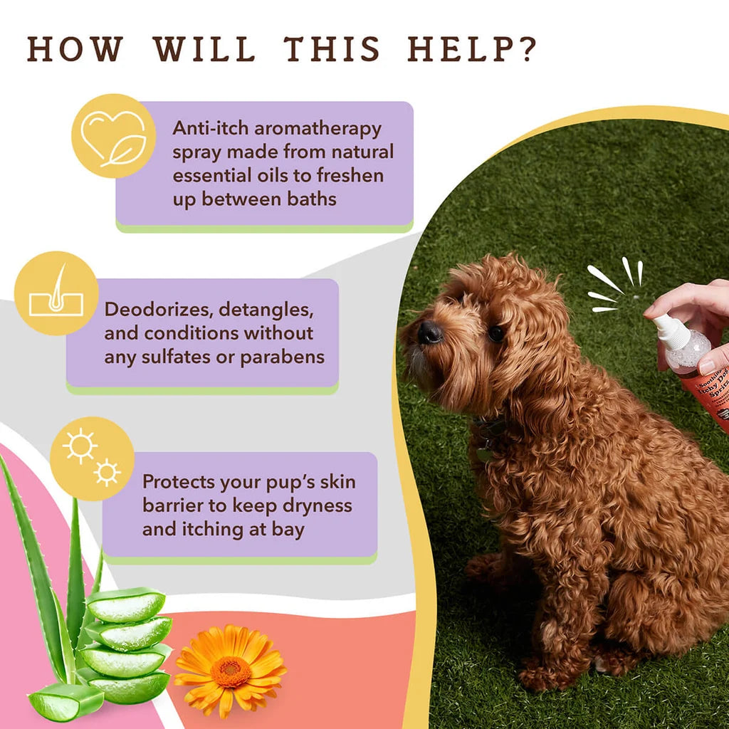 Natural Dog Company Itchy Dog Spritz, Deodorizing Spray, 8-oz Bottle