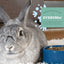 Oxbow Essentials Senior Rabbit Food, 4-lb Bag