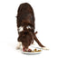 Smack Chunky Chicken, Dehydrated Dog Food